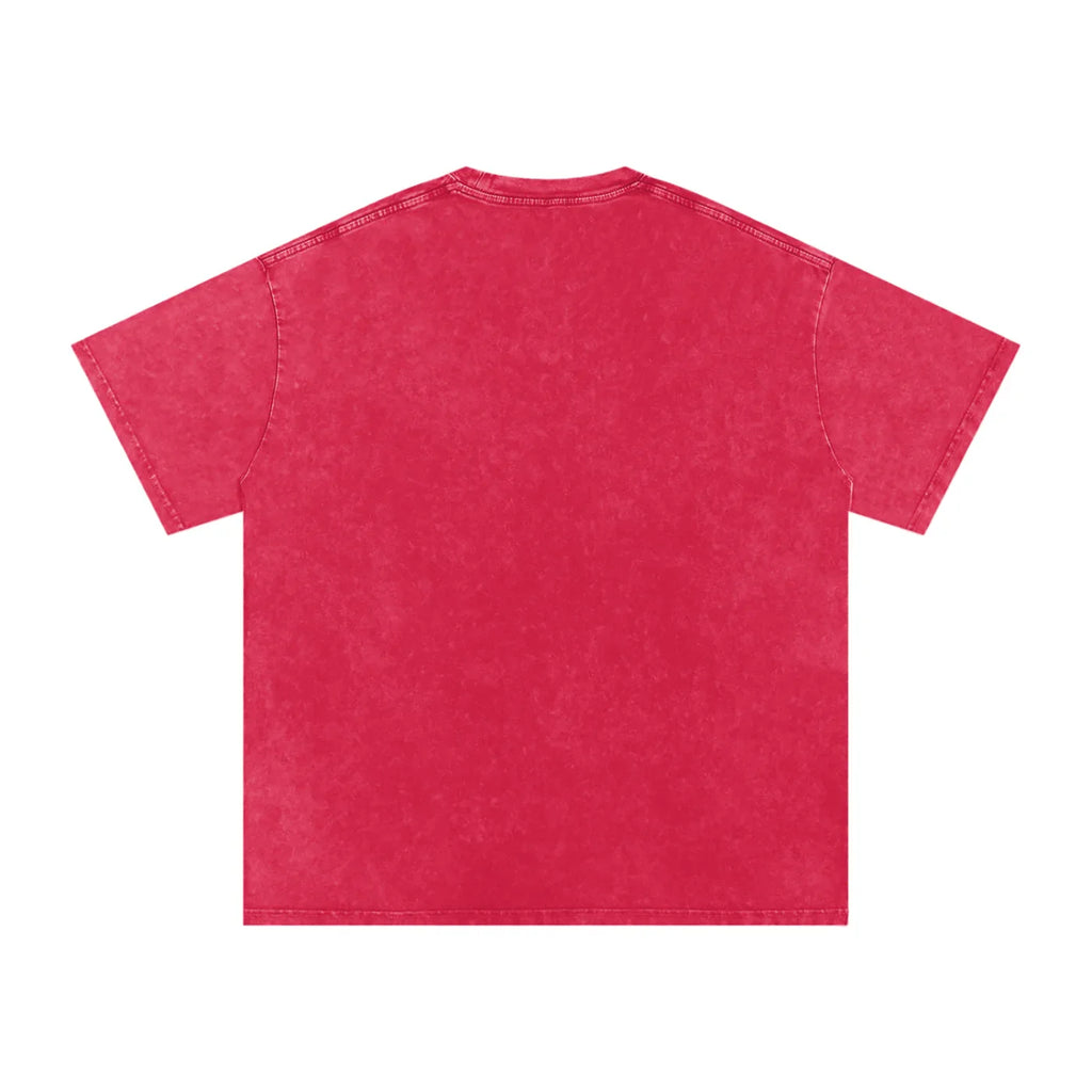 Nice Day In Da Pind X RisenRetro Washed Oversized Cotton T-Shirt