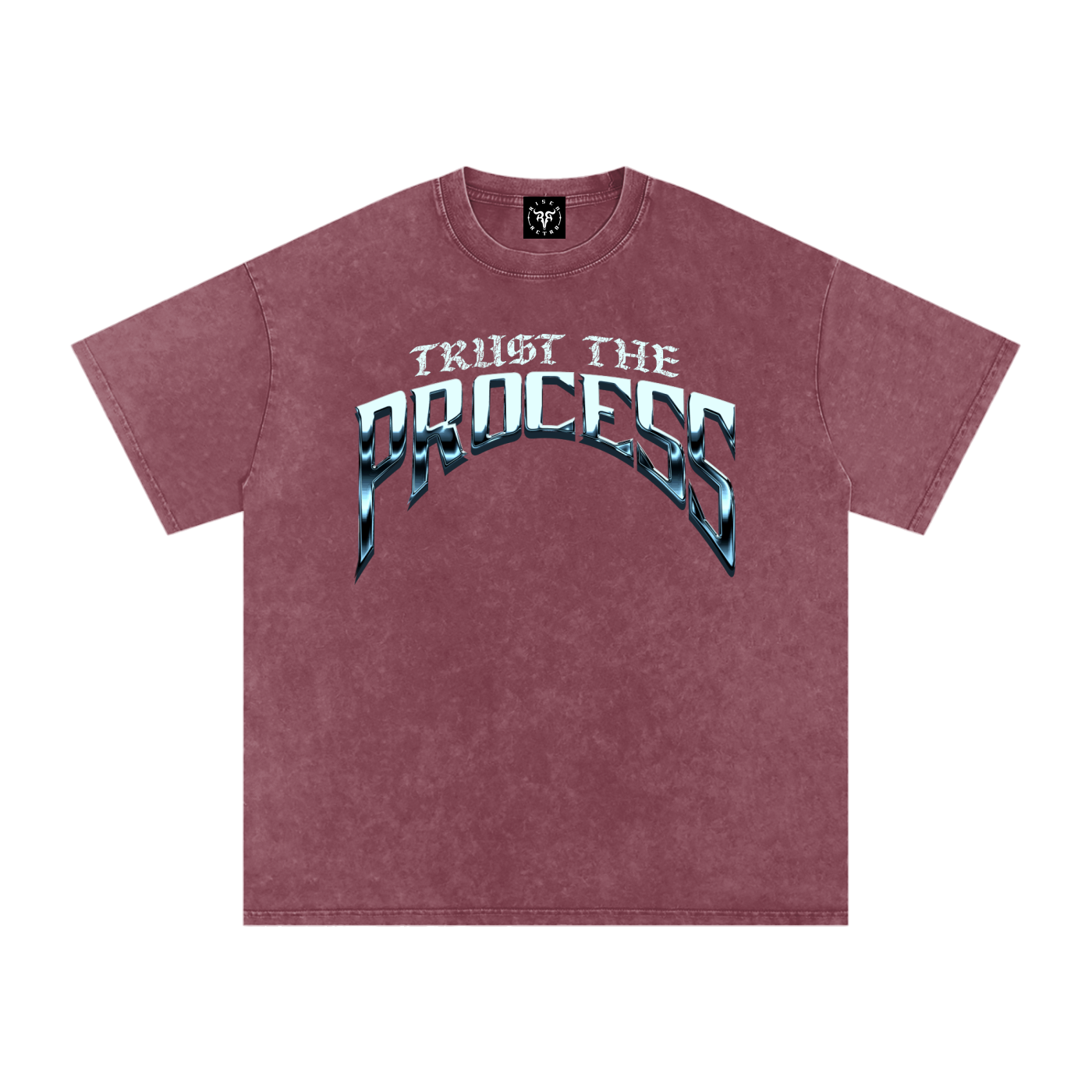 TRUST THE PROCESS x Snow Washed Oversized Cotton T-Shirt