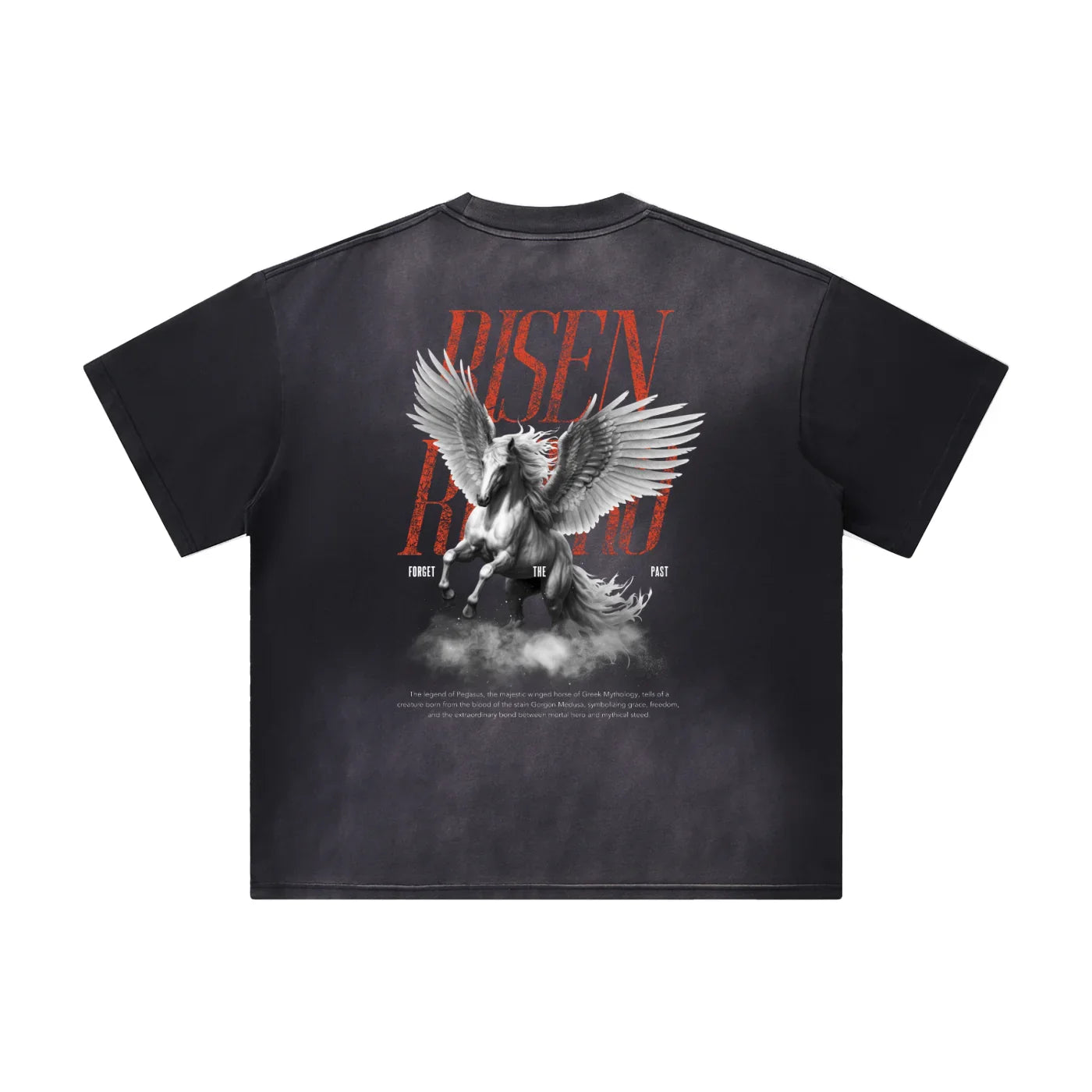 pegasus,risenretro