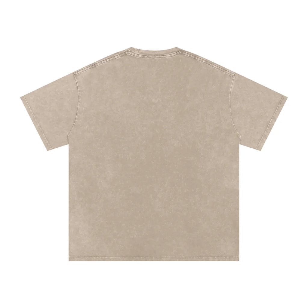 Aujla Culture X RisenRetro Snow Washed Oversized Cotton T-Shirt