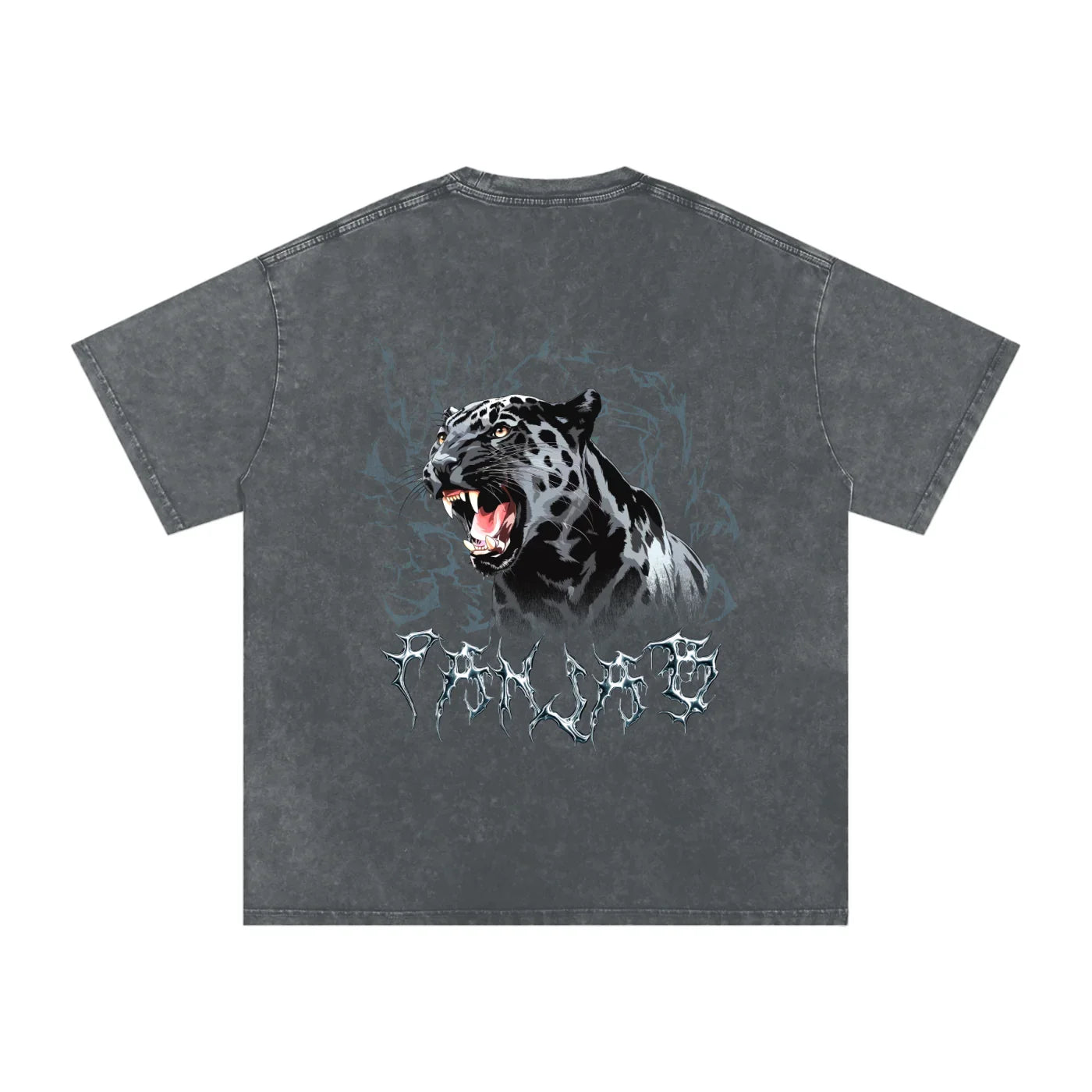 Panjab Y2K X RisenRetro V2 Snow Washed Oversized Cotton T-Shirt