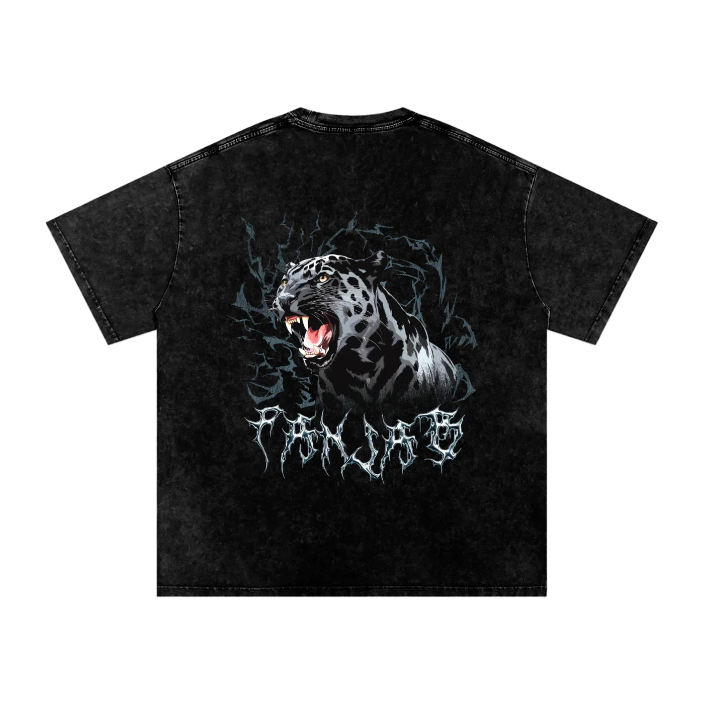 Panjab Y2K X RisenRetro V2 Snow Washed Oversized Cotton T-Shirt