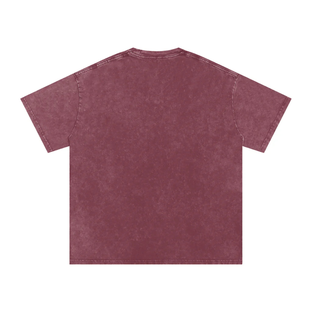 Aujla Culture X RisenRetro Snow Washed Oversized Cotton T-Shirt