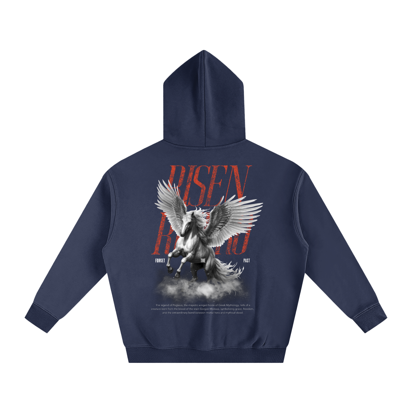 Pegasus X RisenRetro Oversize Fleeced Hoodie