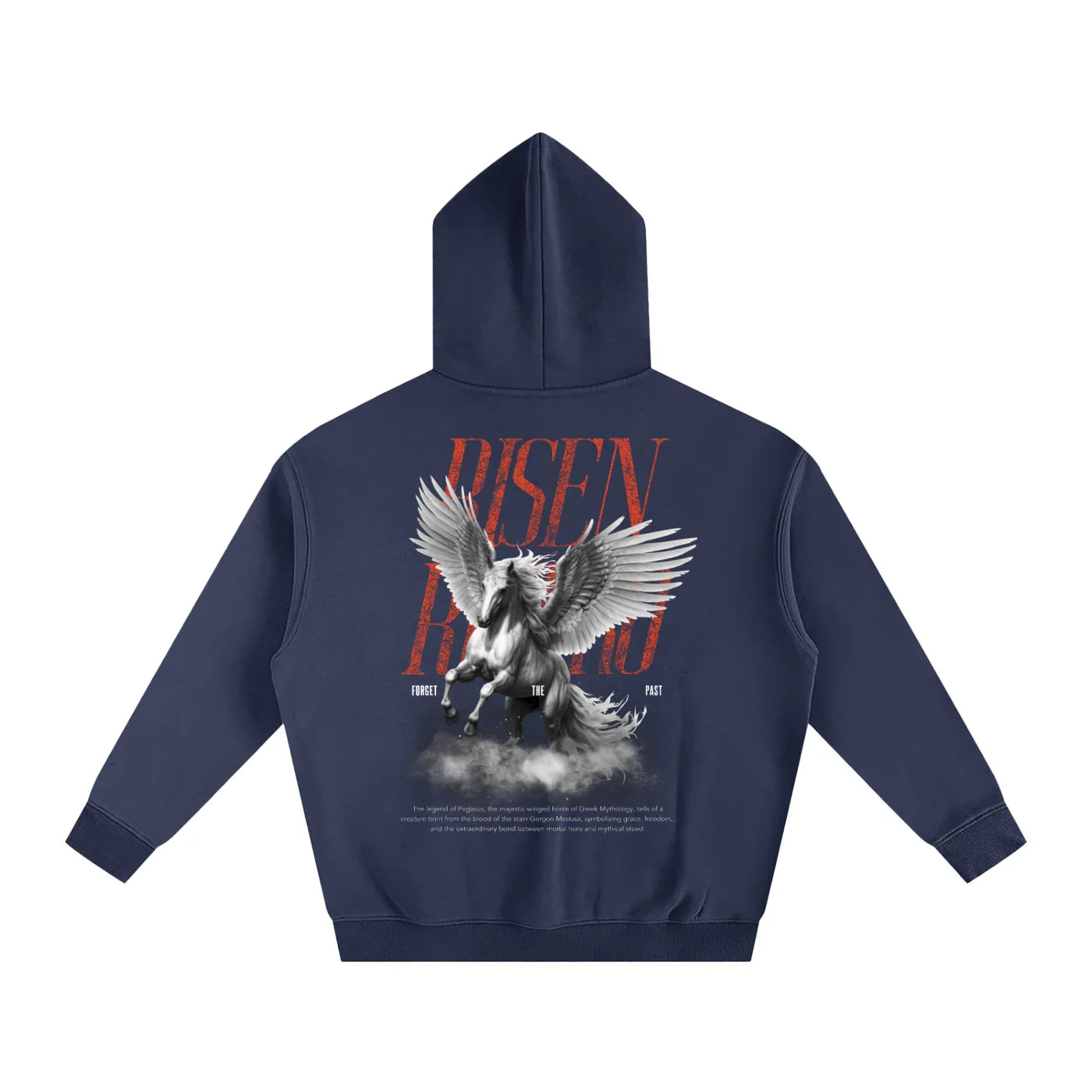 Sweat à capuche polaire oversize rétro Pegasus X Risen