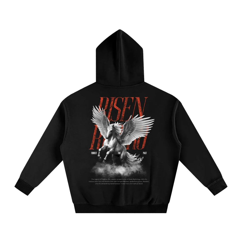 Sweat à capuche polaire oversize rétro Pegasus X Risen