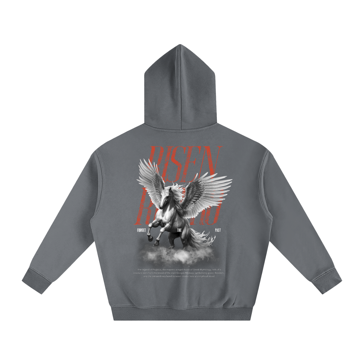Pegasus X RisenRetro Oversize Fleeced Hoodie