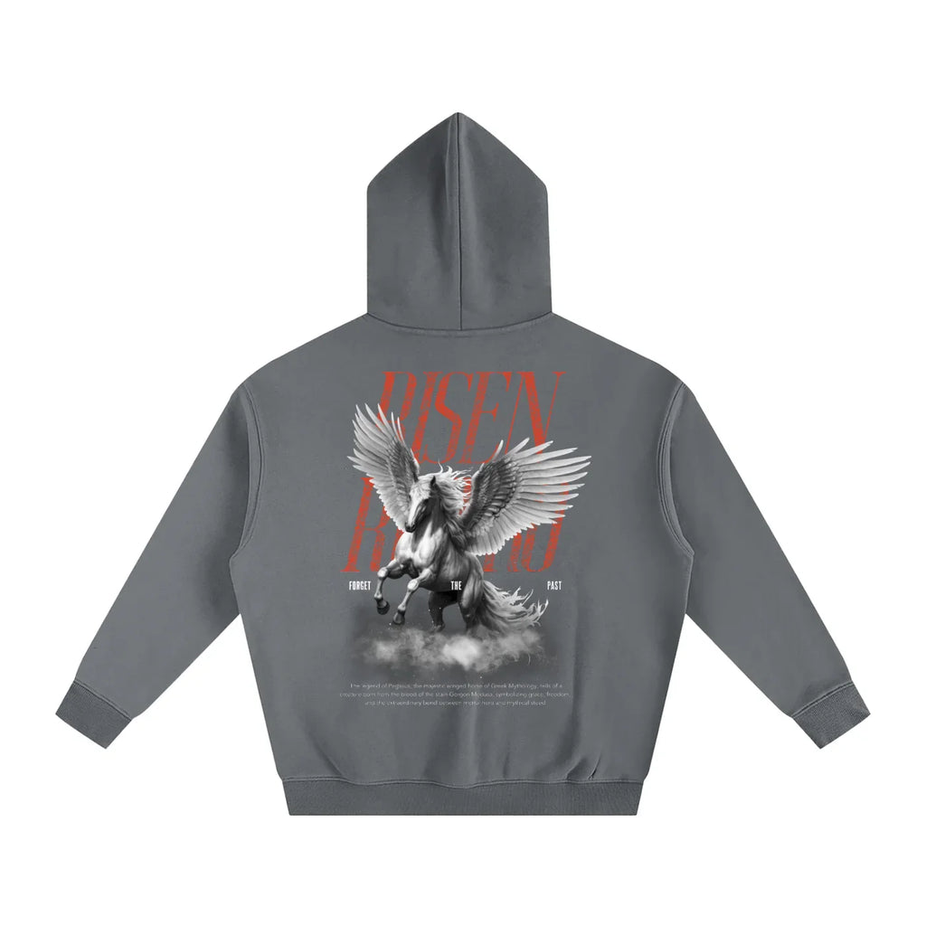 Sweat à capuche polaire oversize rétro Pegasus X Risen