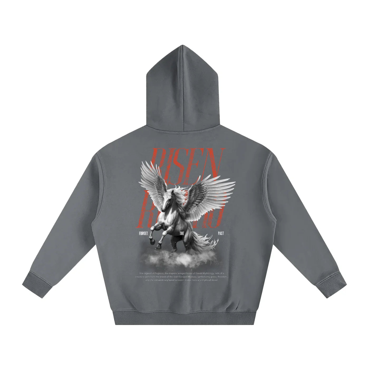 Sweat à capuche polaire oversize rétro Pegasus X Risen