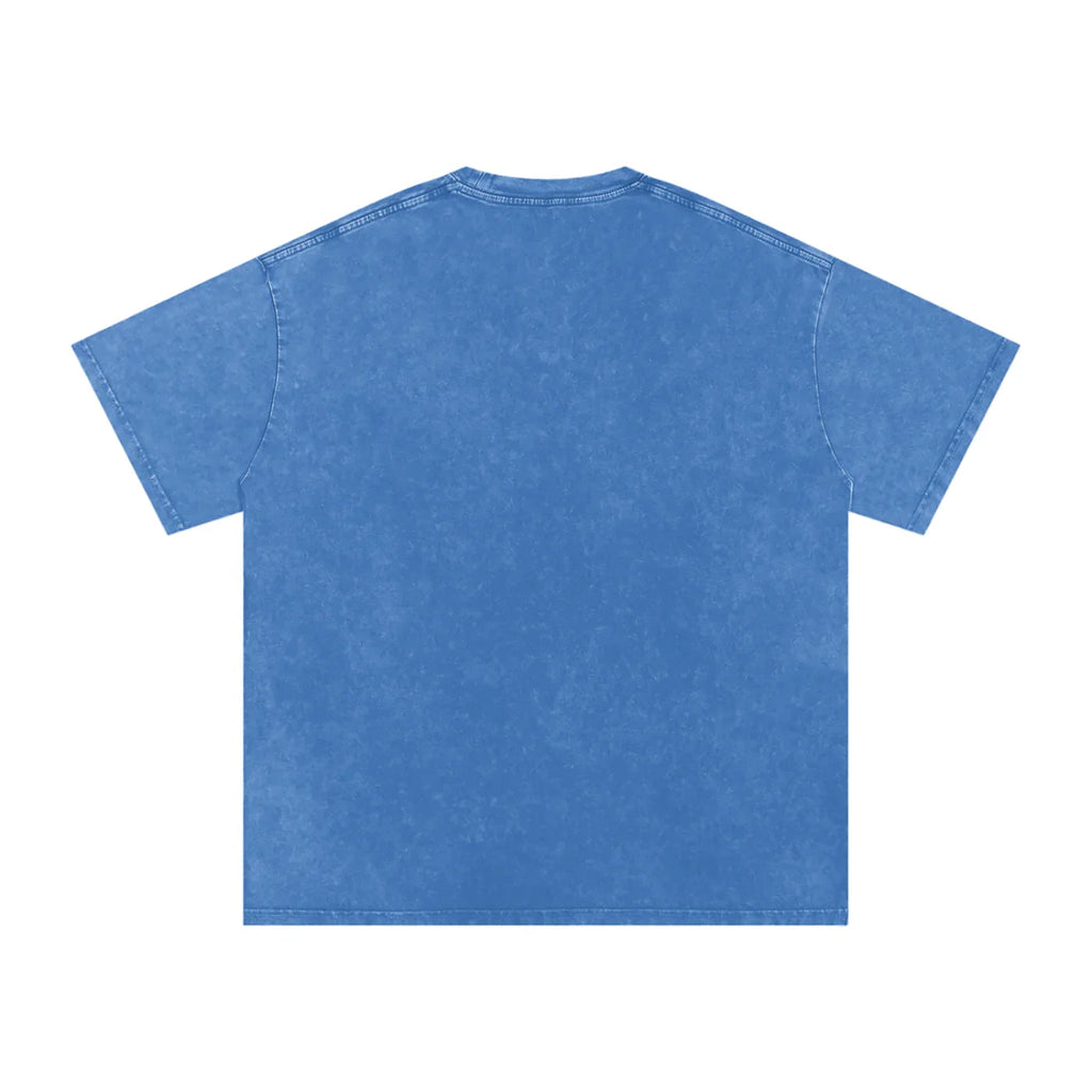 Nice Day In Da Pind X RisenRetro Washed Oversized Cotton T-Shirt