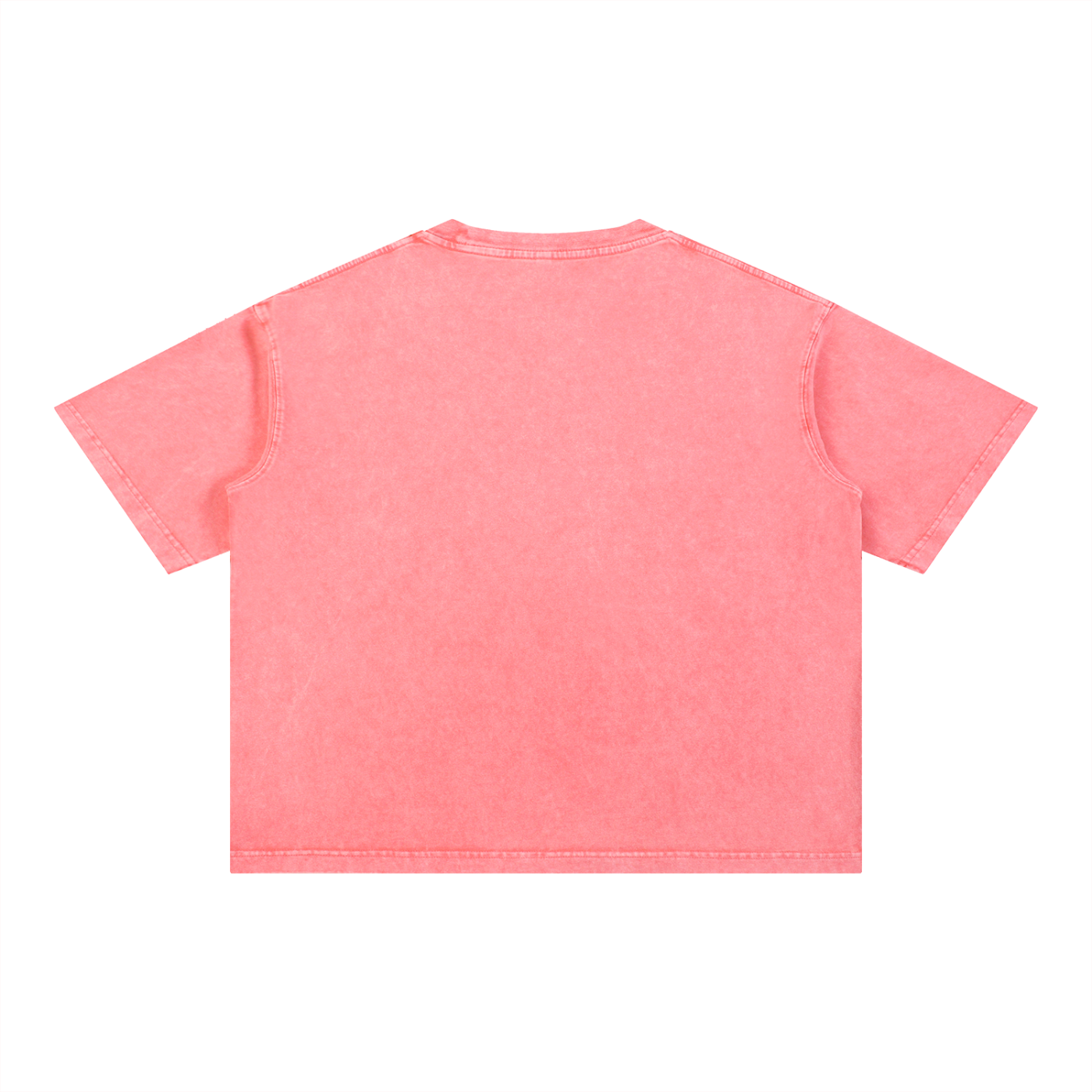 Moose Print S.M.W X RISEN RETRO Wash Boxy Cotton T-Shirt