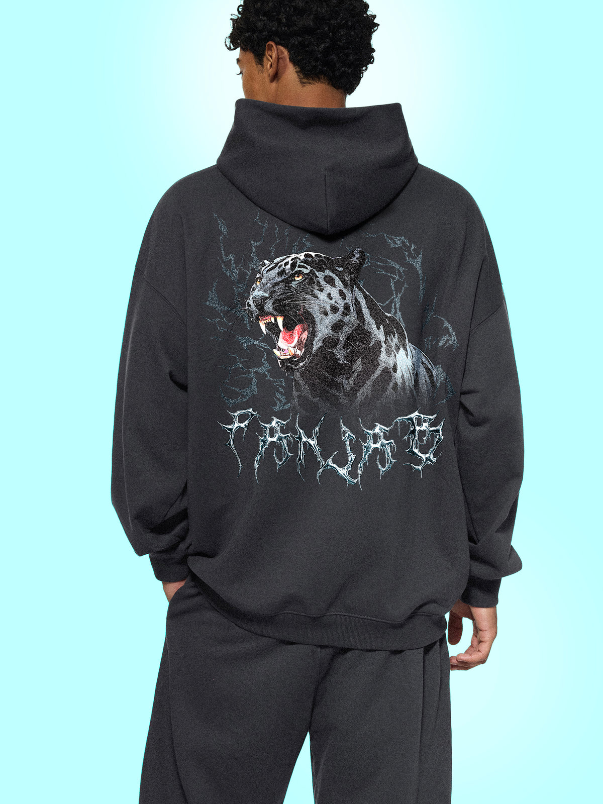PANJAB PANTHER Y2K | RisenRetro Essential Heavyweight Hoodie